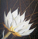 Other Robert Field mosaics